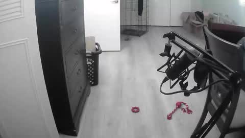 lohangwang69 online show from February 2026 09:44:01 PM