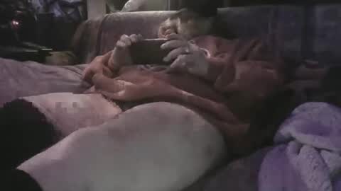 Sean online show from April 2026 09:58:02 AM