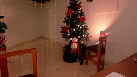 Snapshot of lola_cocks chatting on December 2024 11:31:02 PM mara online show from December 2024 11:31:02 PM