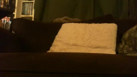 longlorne online show from February 2026 04:31:01 AM