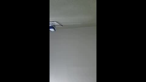 Snapshot of lopezpedro2791 chatting on December 2025 05:35:01 AM 2791 3D online show from December 2025 05:35:01 AM