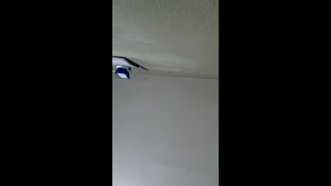 Snapshot of lopezpedro2791 chatting on January 2026 05:10:02 AM 2791 3D online show from January 2026 05:10:02 AM