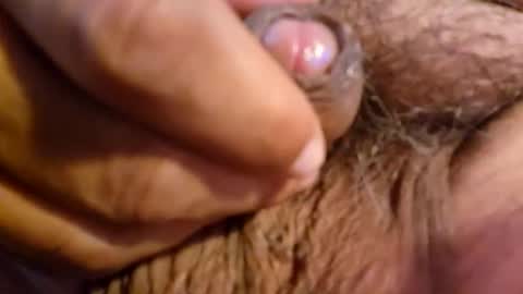 2791 3D online show from March 2026 05:47:02 AM