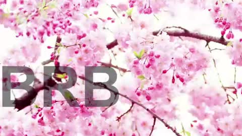Snapshot of lorraine_baker chatting on June 2026 07:58:02 PM Lorraine online show from June 2026 07:58:02 PM