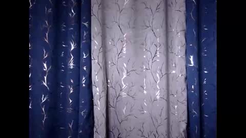 Riva online show from November 2025 12:20:01 PM