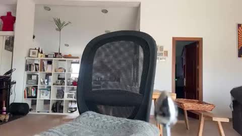 Loveisperfect online show from January 2026 10:31:01 AM