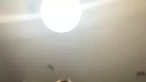 Snapshot of lovellly_ chatting on January 2025 10:51:02 PM Love online show from January 2025 10:51:02 PM