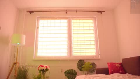 Nelly online show from November 2025 12:53:01 PM