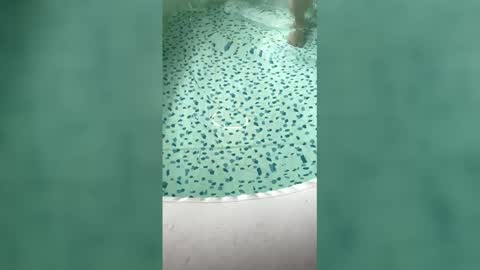 lovelyladyflaccid online show from May 2026 06:09:01 PM