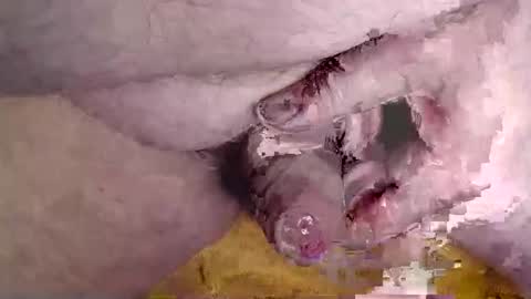 Snapshot of lover_troll chatting on February 2026 10:44:02 AM lover_troll online show from February 2026 10:44:02 AM