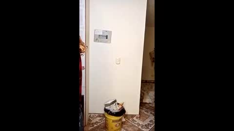 luana363 online show from January 2026 04:50:02 AM