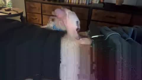 lubthemtitties online show from December 2024 08:49:02 AM