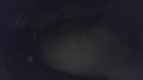 luca150500 online show from January 2025 04:48:01 AM