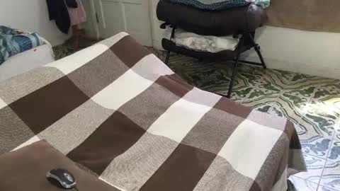 lucifer_curious online show from March 2026 04:11:02 PM