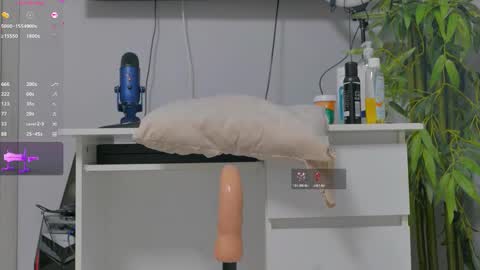 Alice online show from November 2025 08:08:01 PM