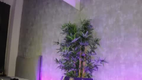 lucyrayy online show from February 2026 10:58:02 PM