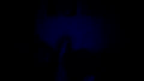 luffray online show from February 2026 12:14:02 AM