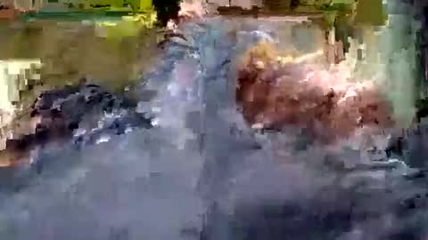 Snapshot of luis_hunk chatting on October 2025 10:59:01 AM Andrew online show from October 2025 10:59:01 AM