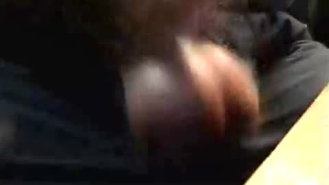 Snapshot of lukestarfckr chatting on October 2025 04:53:02 PM lukestarfckr online show from October 2025 04:53:02 PM