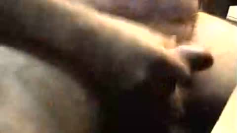 Snapshot of lukestarfckr chatting on November 2025 09:22:01 AM lukestarfckr online show from November 2025 09:22:01 AM