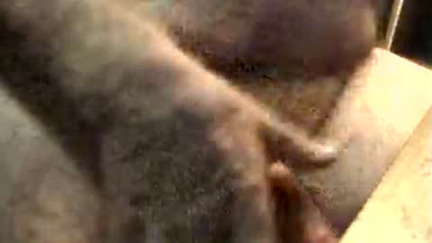 Snapshot of lukestarfckr chatting on November 2025 09:19:02 AM lukestarfckr online show from November 2025 09:19:02 AM