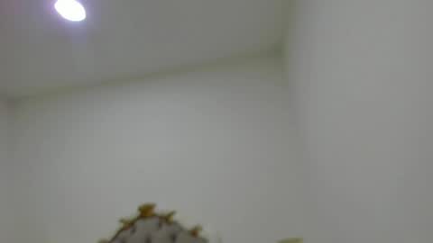 luna forever7 online show from April 2026 12:22:01 PM