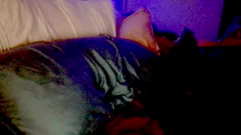 Snapshot of lunadaddysgirl chatting on November 2025 09:20:01 AM Luna Daddys Girl online show from November 2025 09:20:01 AM