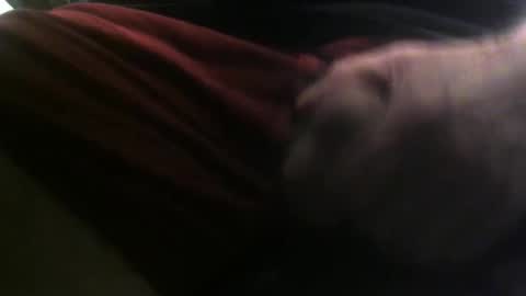 lunatica12 online show from February 2025 06:17:02 AM