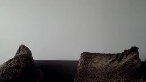 Lupine online show from January 2025 10:32:01 AM