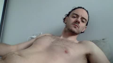 Lupine online show from March 2025 09:21:01 AM