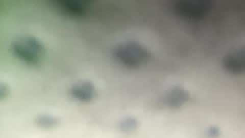 Snapshot of luquita094 chatting on November 2025 11:54:01 AM luquita094 online show from November 2025 11:54:01 AM