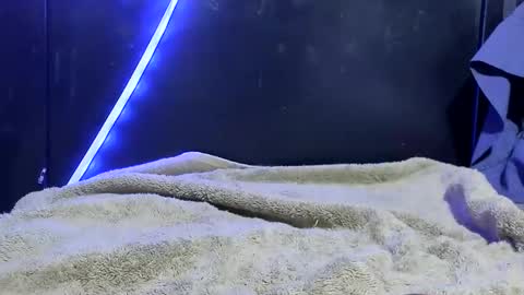 Snapshot of lurkus chatting on December 2025 07:48:02 AM lurkus online show from December 2025 07:48:02 AM