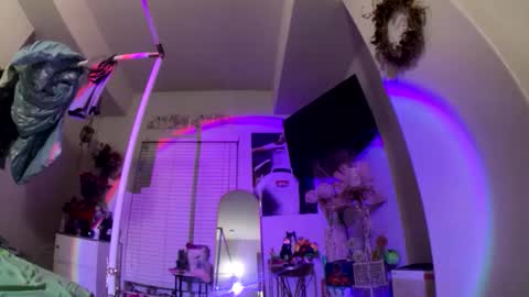 LOLA online show from February 2026 07:04:01 AM