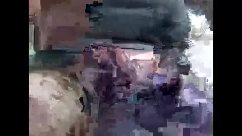 lutorres online show from November 2025 10:32:01 AM