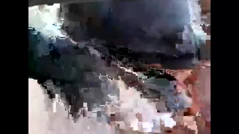 lutorres online show from November 2025 11:47:01 AM