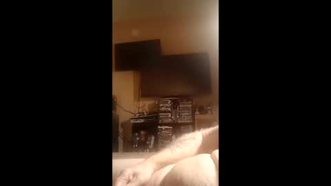 Snapshot of luv2cum4u612 chatting on January 2026 08:49:02 AM luv2cum4u612 online show from January 2026 08:49:02 AM