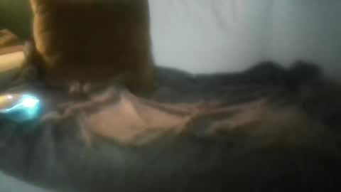 Snapshot of luvbigtits271 chatting on January 2025 06:26:01 AM luvbigtits271 online show from January 2025 06:26:01 AM