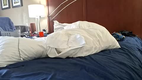 luvbug555 online show from November 2025 07:24:01 PM