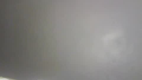 Bee Bee online show from February 2026 01:48:01 PM