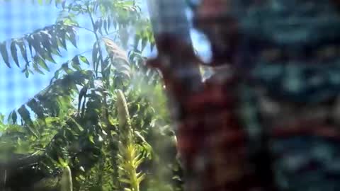 SLoppYxXPeeHoLeXxGspotxX online show from February 2026 08:38:02 PM