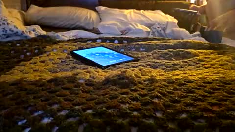 MARCUSNYX online show from April 2026 06:47:02 AM