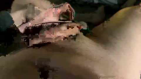 Maasssiv online show from March 2025 09:42:01 AM