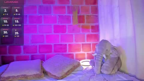   online show from February 2025 07:10:02 PM