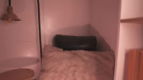 Noah Askew online show from December 2025 08:35:01 PM