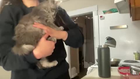 Snapshot of maddyhasyummypussy chatting on December 2025 12:48:02 AM maddyhasyummypussy online show from December 2025 12:48:02 AM