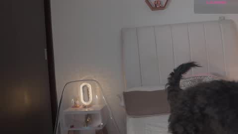 Snapshot of madison__evans chatting on February 2026 06:21:01 AM Valentina 1030 530 - online show from February 2026 06:21:01 AM