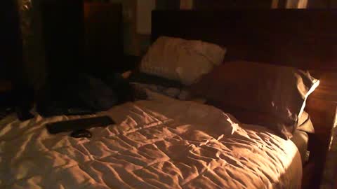 Snapshot of madmax0133 chatting on February 2025 12:38:02 AM Guigui online show from February 2025 12:38:02 AM