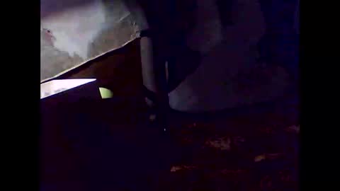 romantic online show from November 2025 07:33:02 AM