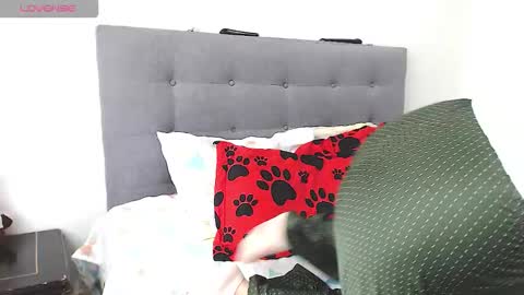 Snapshot of magic_stephany__ chatting on February 2026 01:28:01 PM magic_stephany__ online show from February 2026 01:28:01 PM