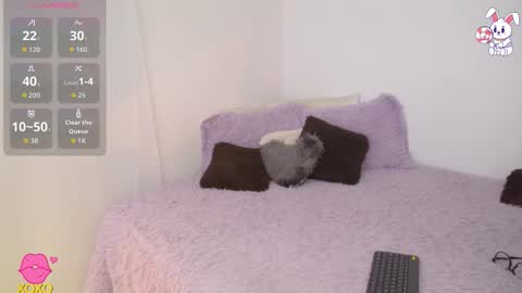    t  online show from March 2026 02:17:01 AM